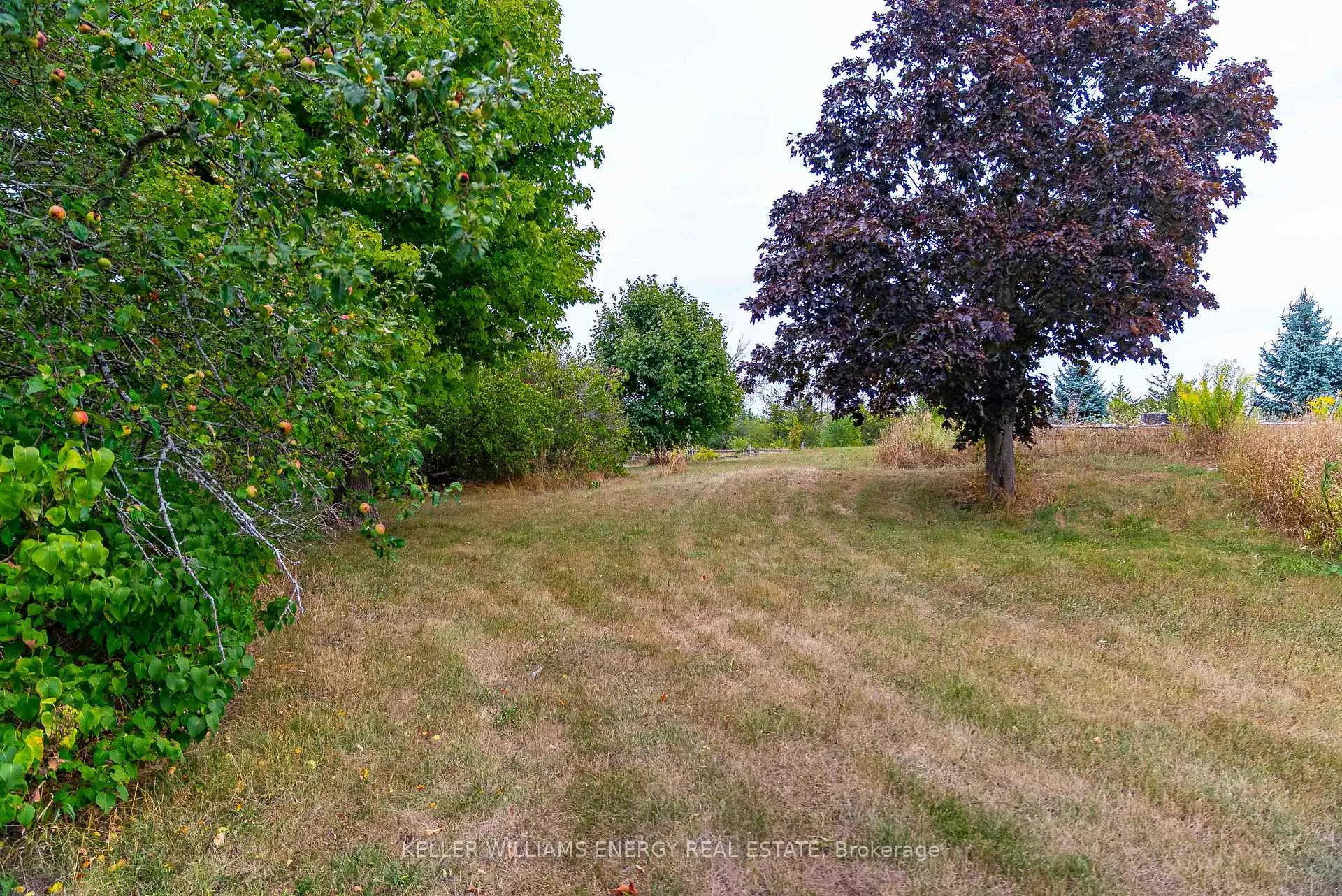 Photo 29 of 1156 Clarke Road, Prince Edward County, Hallowell — HOMEH