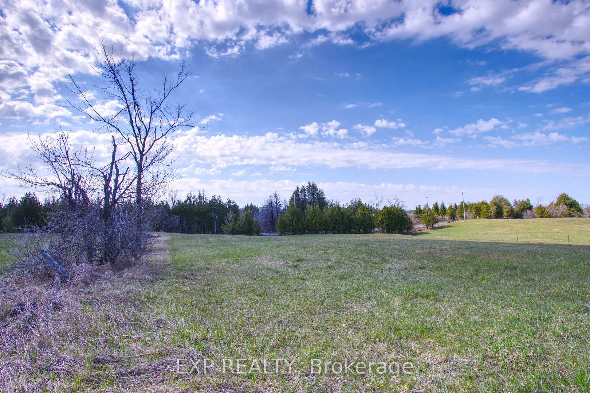 Photo 4 of 00 Webster Road, Douro-Dummer — HOMEH