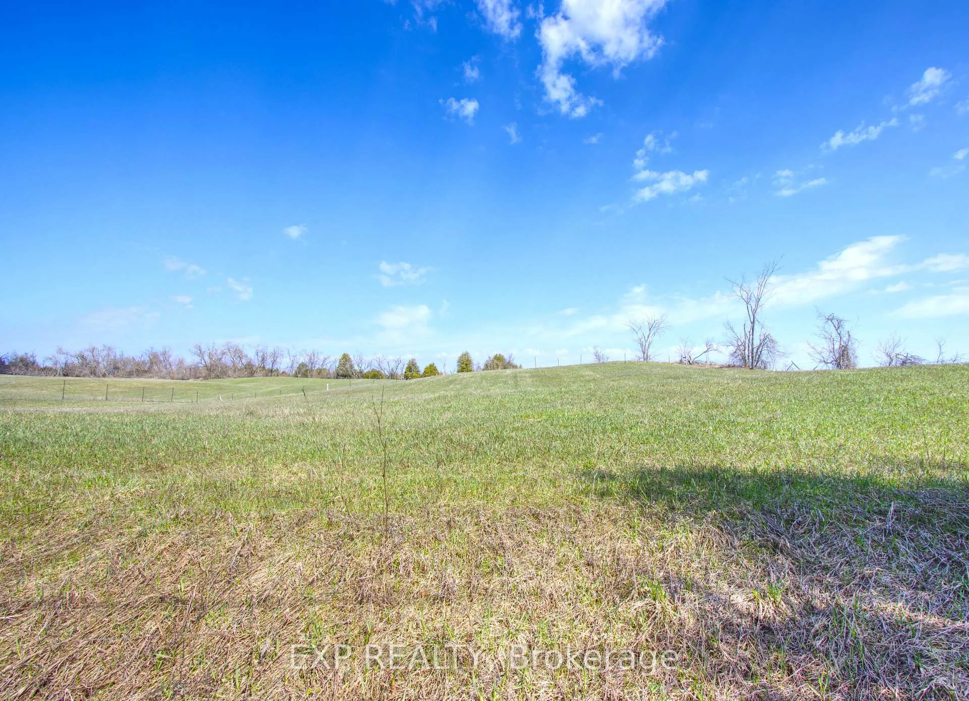 Photo 10 of 00 Webster Road, Douro-Dummer — HOMEH