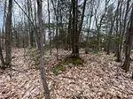 Photo 2 of Lot 705 Wolfe Trail, Tiny, Rural Tiny — HOMEH
