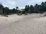 Photo 11 of Lot 705 Wolfe Trail, Tiny, Rural Tiny — HOMEH
