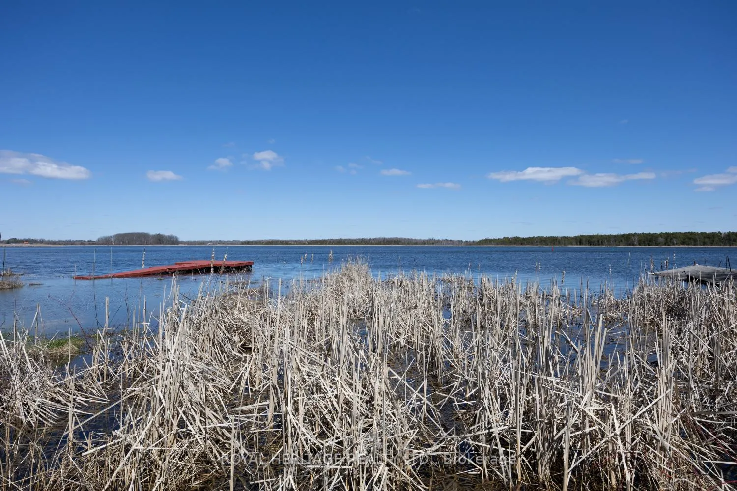 Photo 15 of 116 Beach Road, Kawartha Lakes, Ops — HOMEH