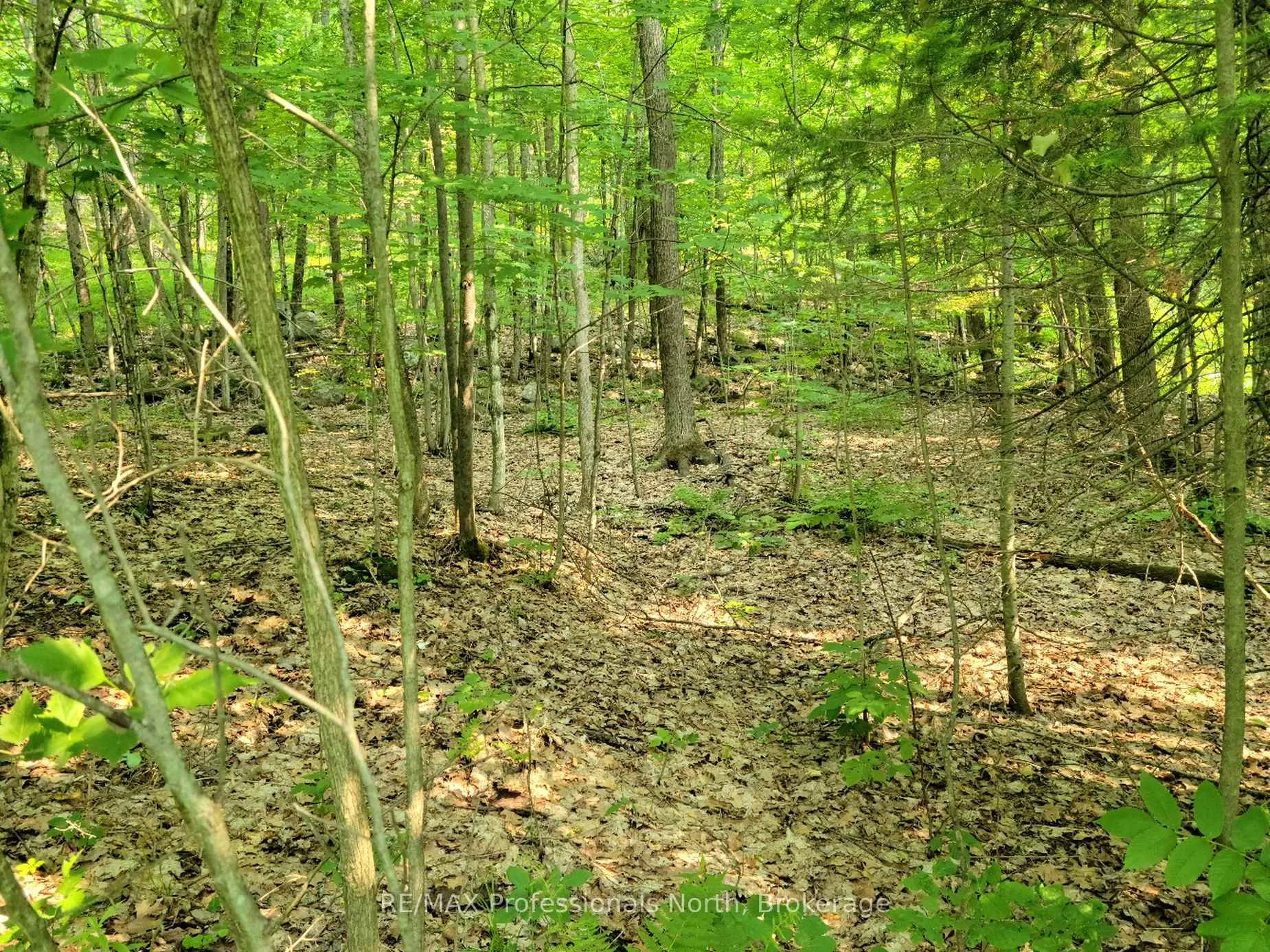 Photo of Unit 22, 32 Mount Vernon Trail