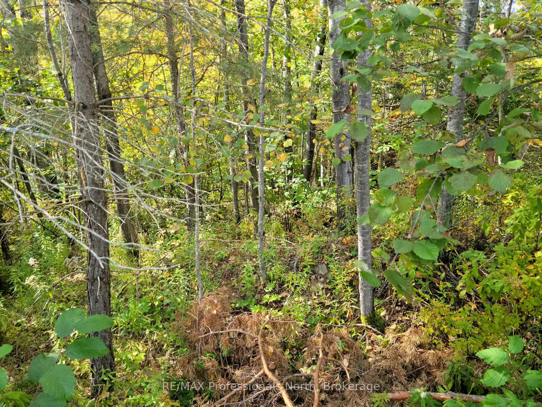 Photo of Unit 32, 4 Fox Run Lane