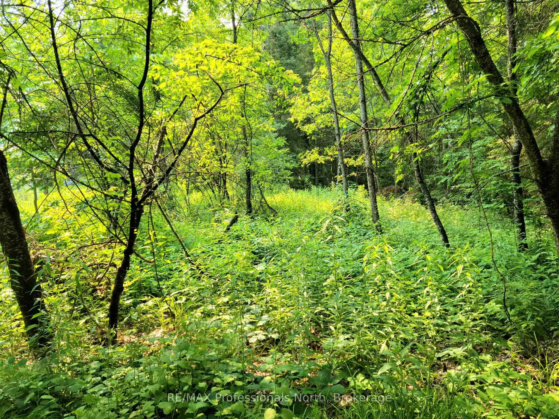 Photo of Unit 26, 35 Mount Vernon Trail