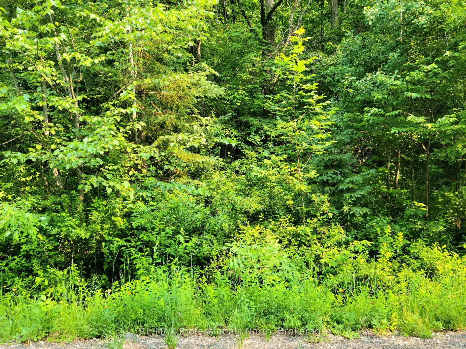 Photo of Unit 19, 26 Mount Vernon Trail