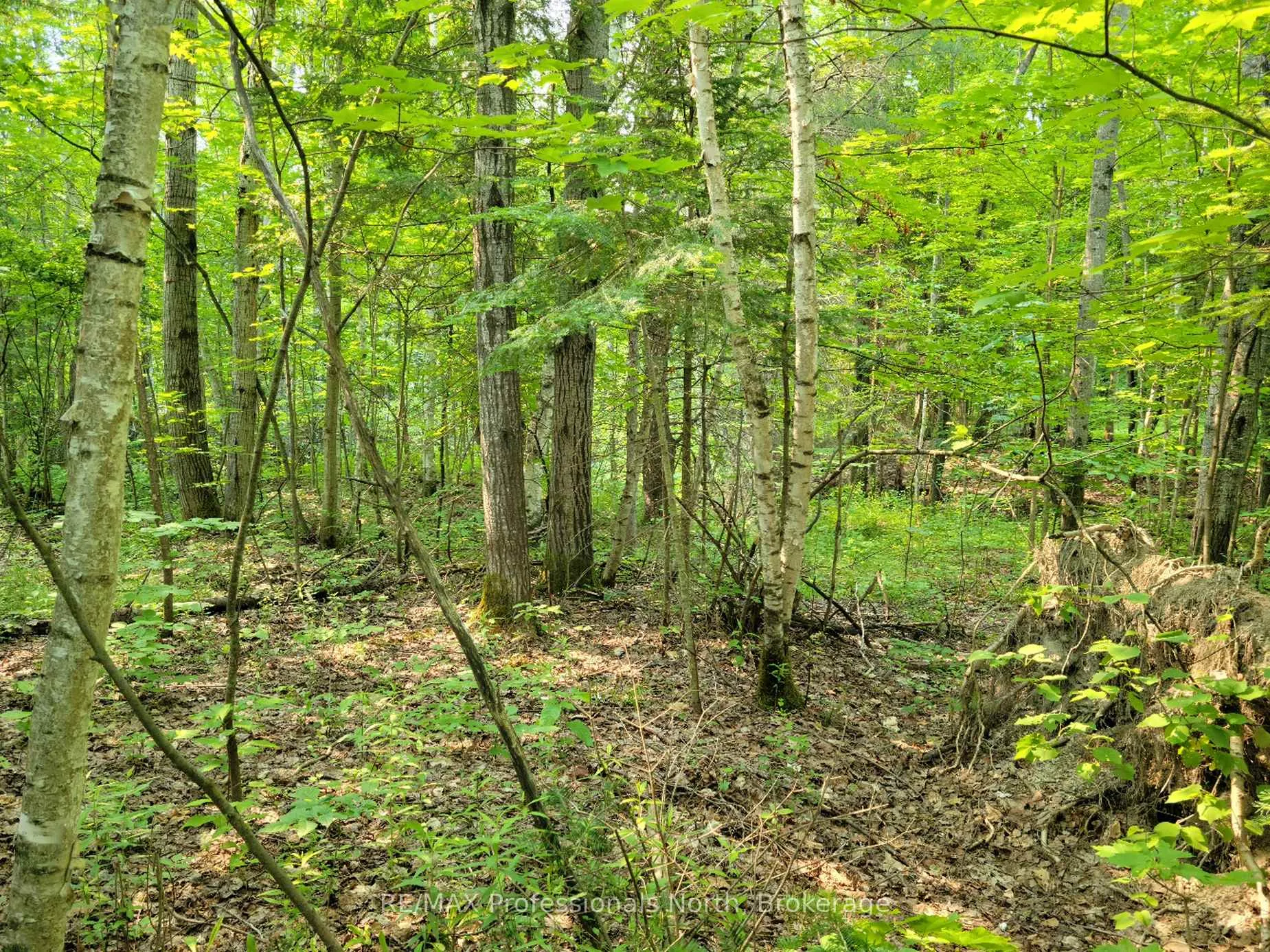 Photo of Unit 29, 29 Mount Vernon Trail