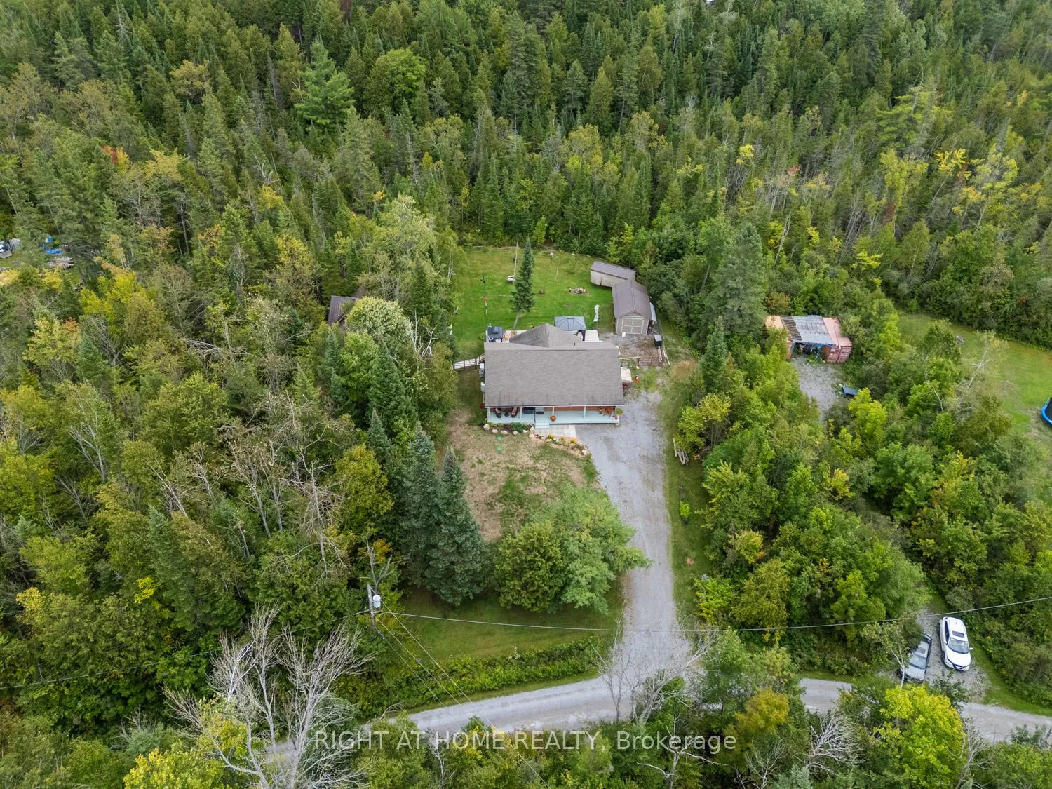 Photo 5 of 89 River Road, Kawartha Lakes, Fenelon Falls — HOMEH