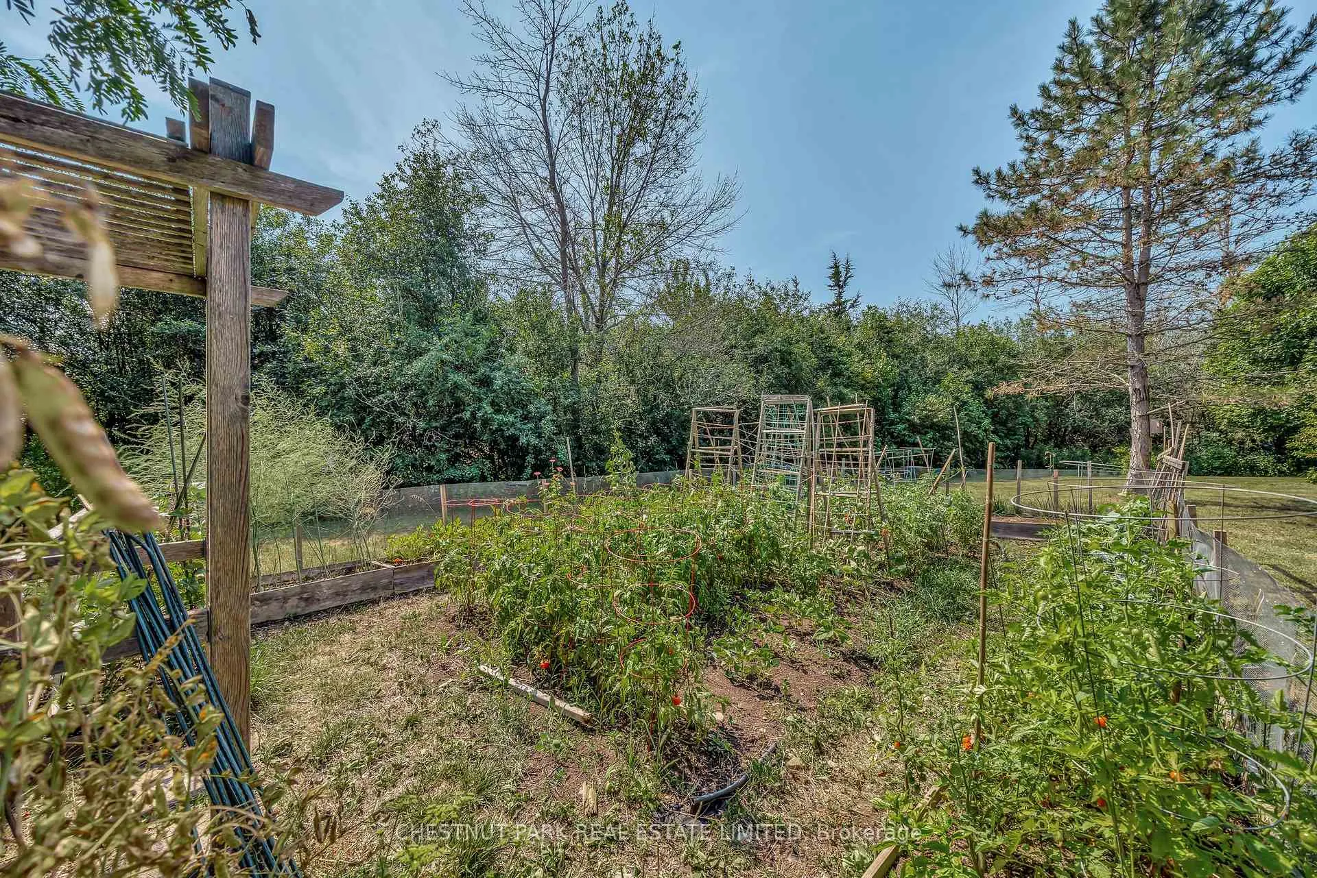 Photo 33 of 207 Carnrike Road, Prince Edward County, Ameliasburg Ward — HOMEH