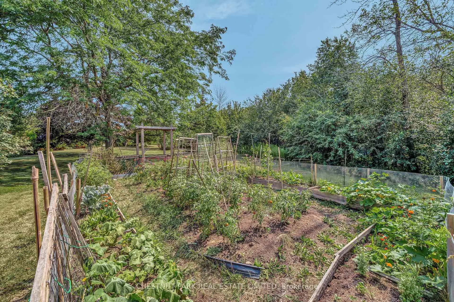 Photo 34 of 207 Carnrike Road, Prince Edward County, Ameliasburg Ward — HOMEH