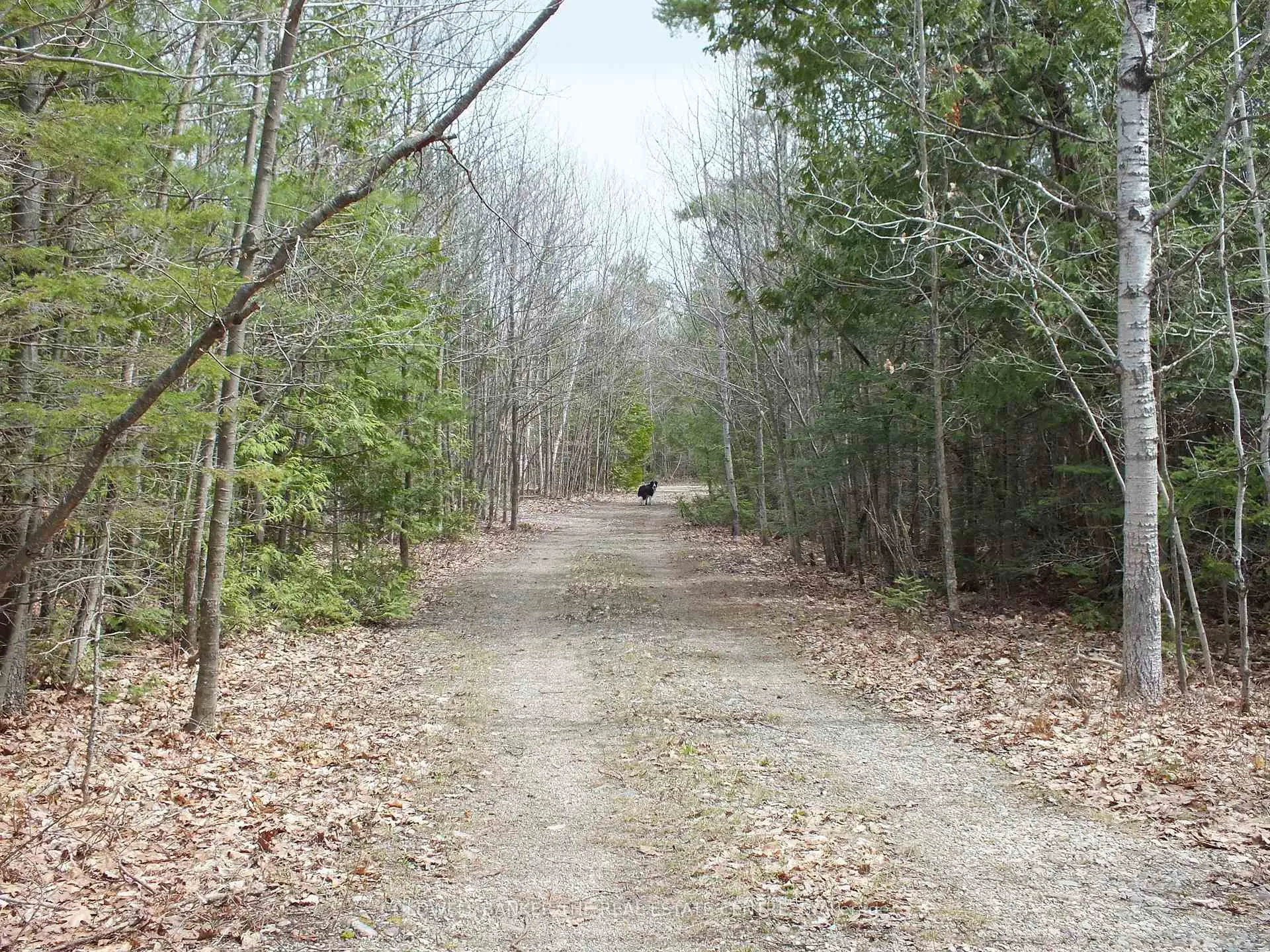 Photo of N/A Dial Road N