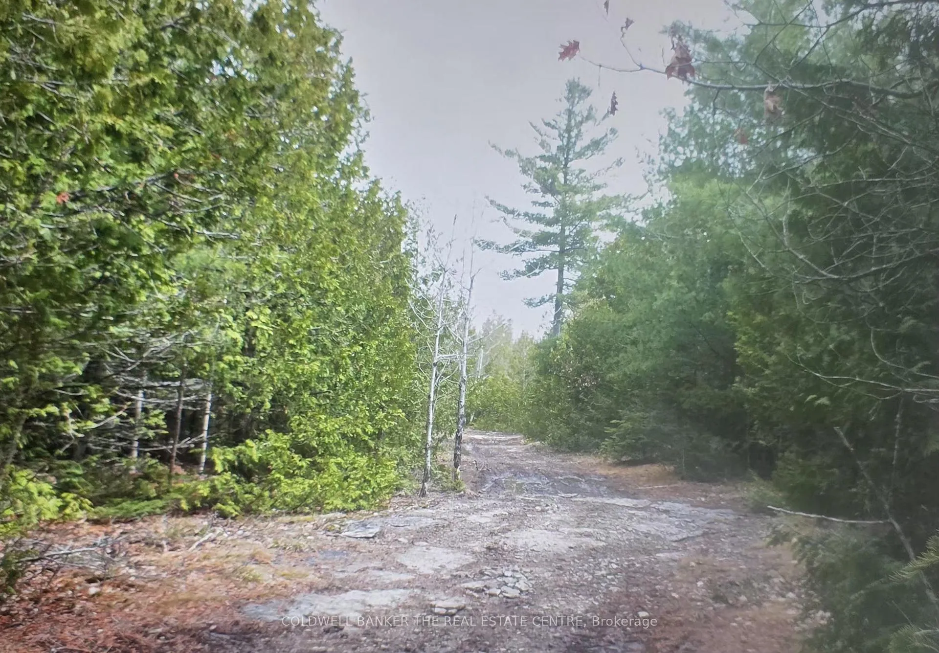 Photo 10 of Dial Road N, Central Manitoulin — HOMEH
