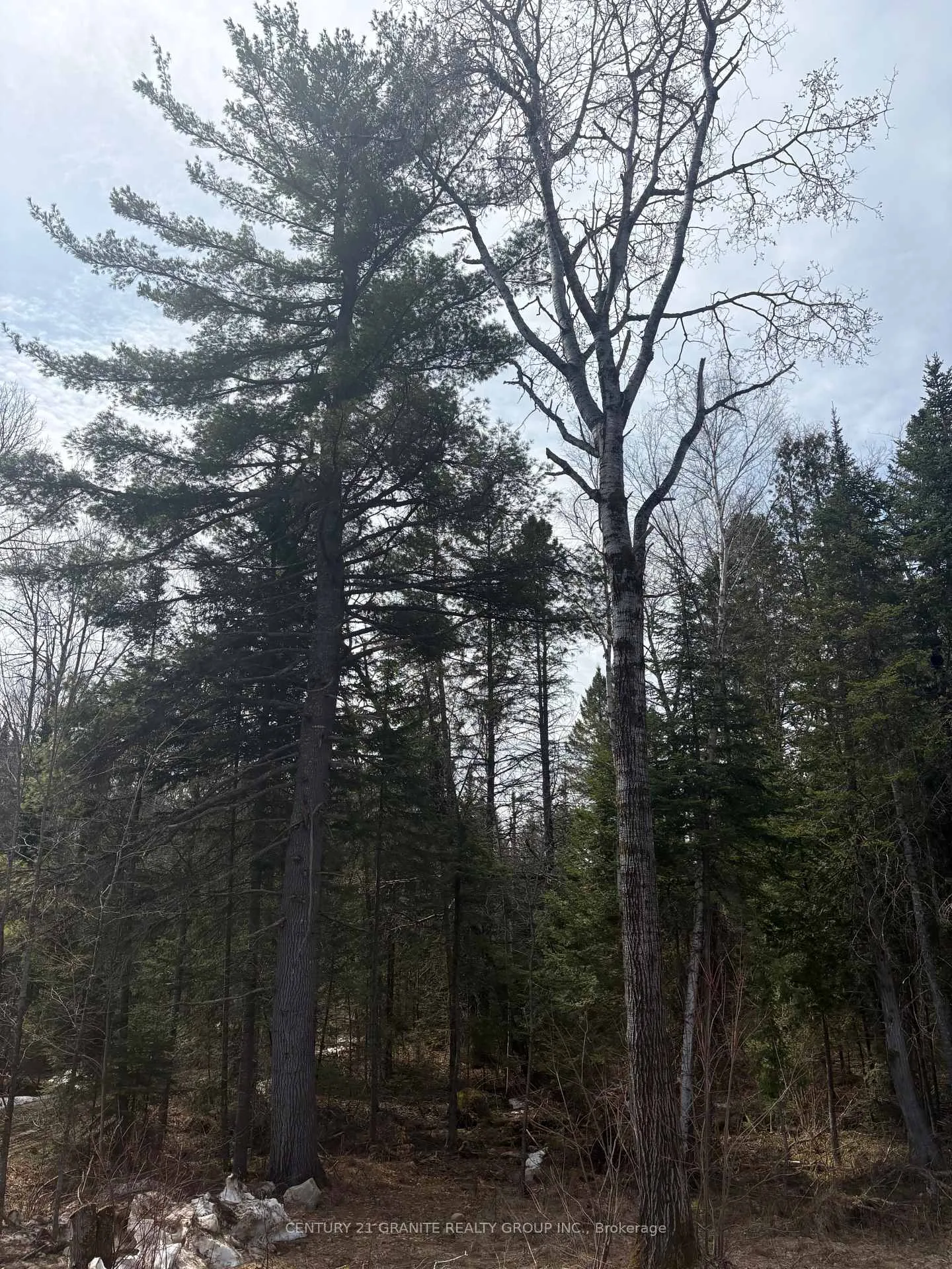 Photo 21 of 1079 North Mackenzie Lake Road, South Algonquin — HOMEH