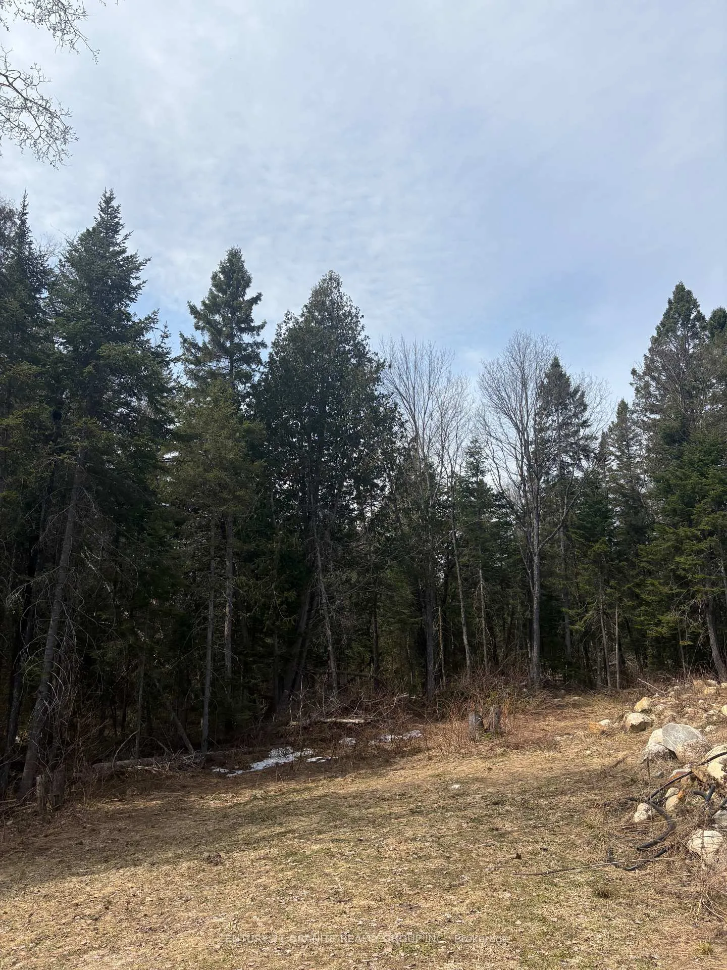 Photo 22 of 1079 North Mackenzie Lake Road, South Algonquin — HOMEH