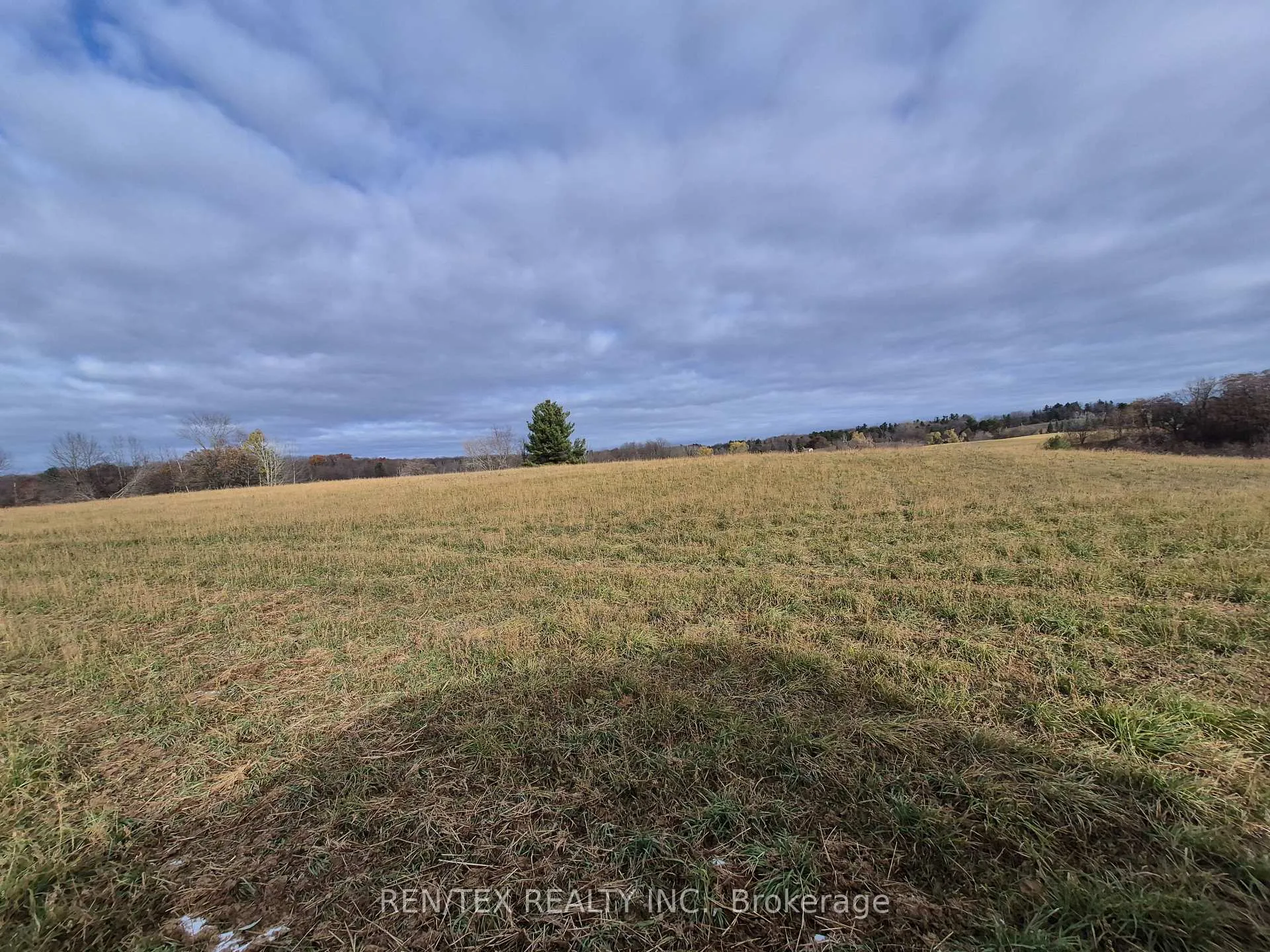 Photo 5 of 14140 8th Concession Road, King, Rural King — HOMEH