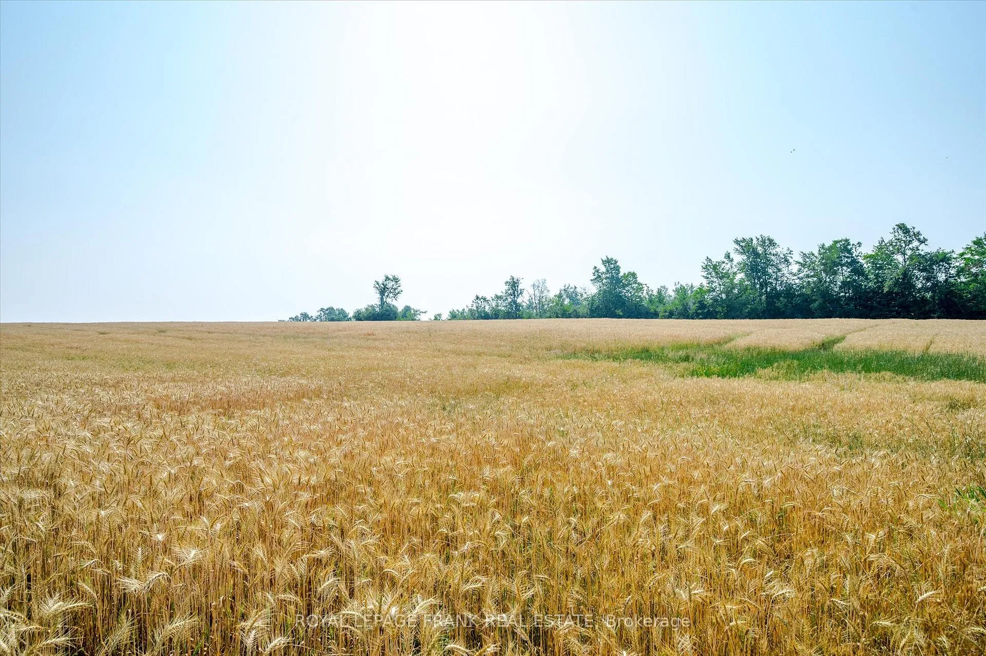 Photo 39 of 1060 Centre Line, Selwyn — HOMEH