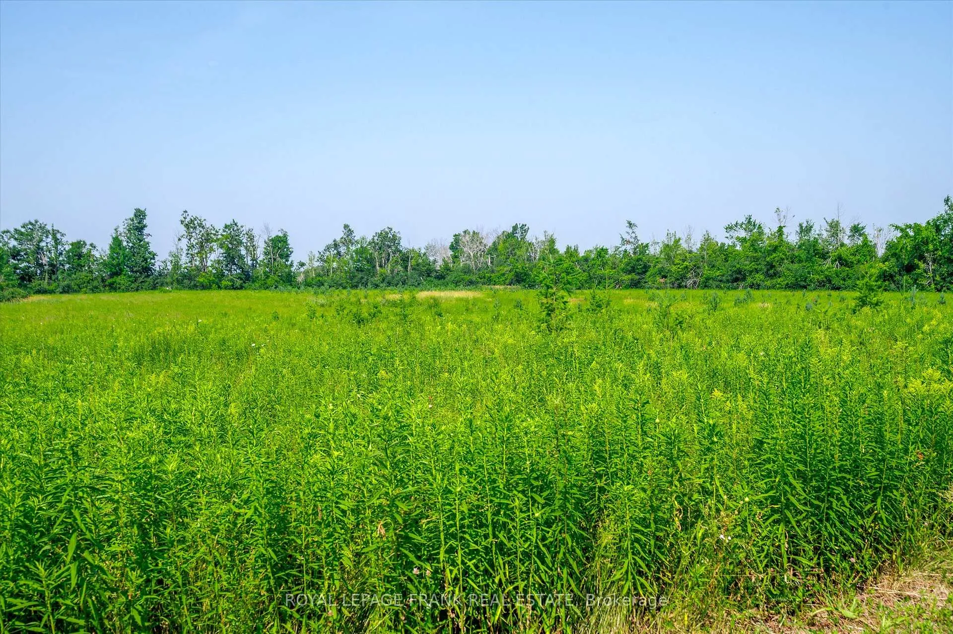 Photo 41 of 1060 Centre Line, Selwyn — HOMEH
