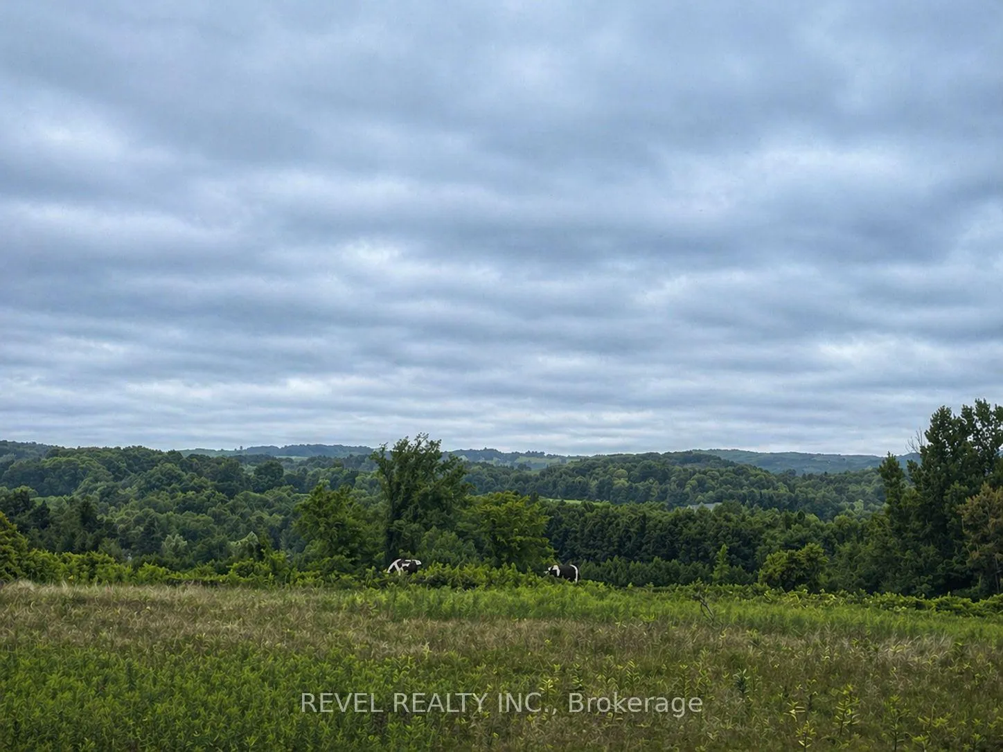 Photo 8 of 15633 Kennedy Road, Caledon, Rural Caledon — HOMEH