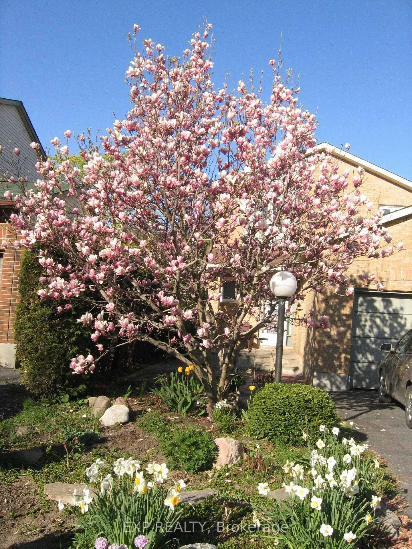 Photo 46 of 31 Coolspring Crescent, Ottawa, Borden Farm/Stewart Farm/Carleton Heights/Parkwood Hills — HOMEH