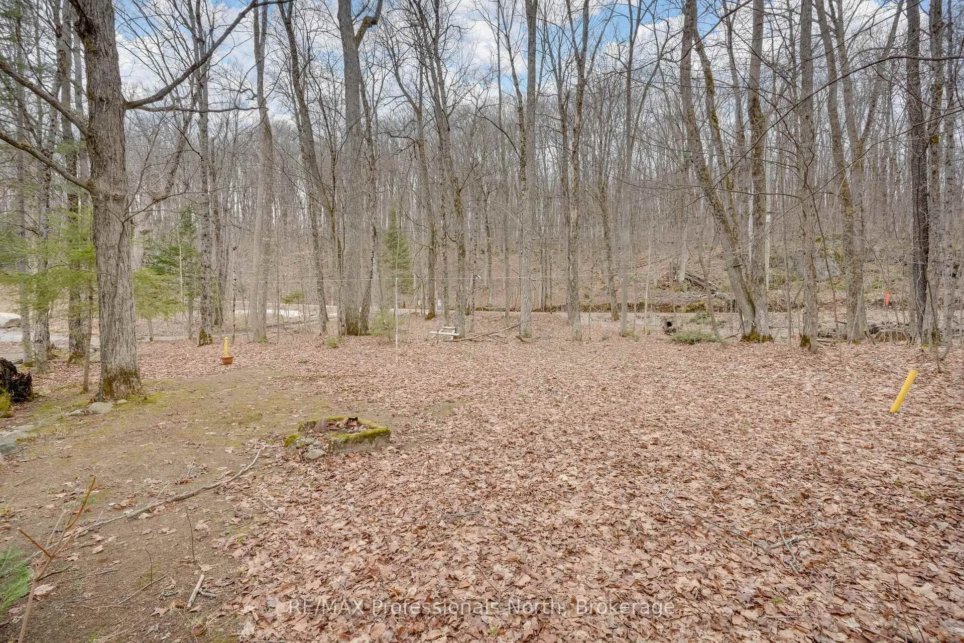 Photo 17 of 223B Sunnylea Avenue, Armour — HOMEH