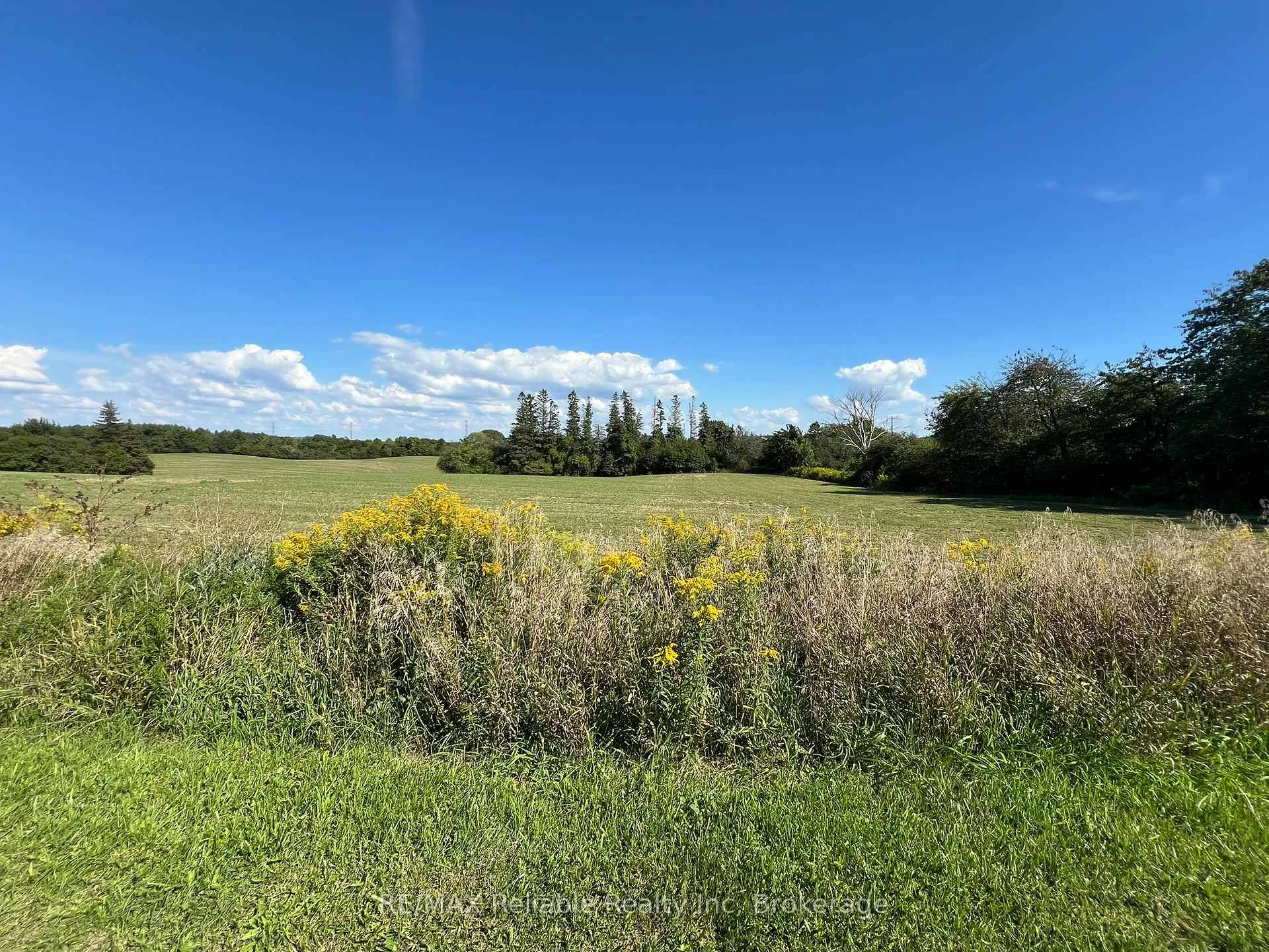 Photo 9 of 38012 Mill Road, Bluewater, Stanley — HOMEH