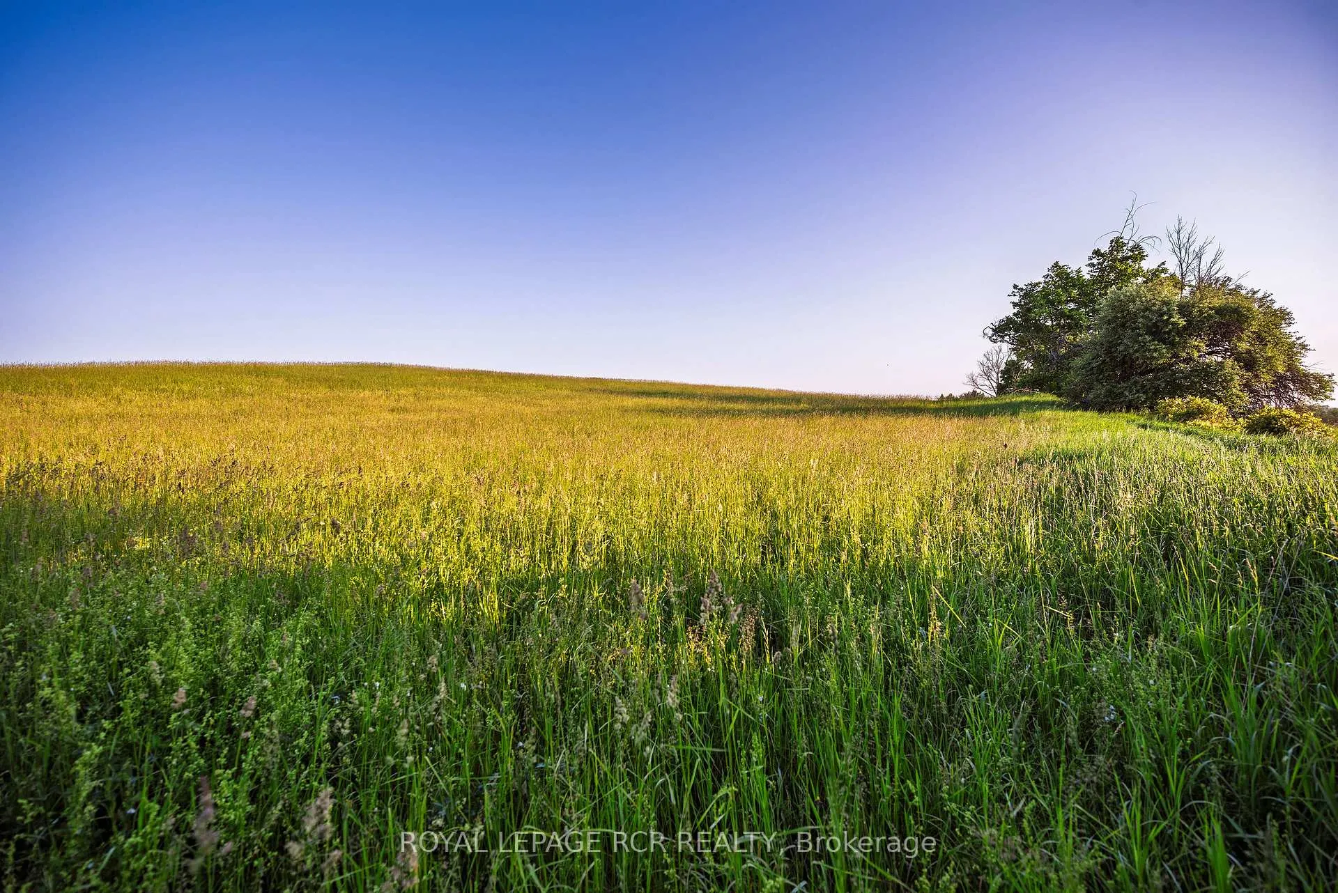 Photo 15 of PTLT 18 7th Line, Mono, Rural Mono — HOMEH