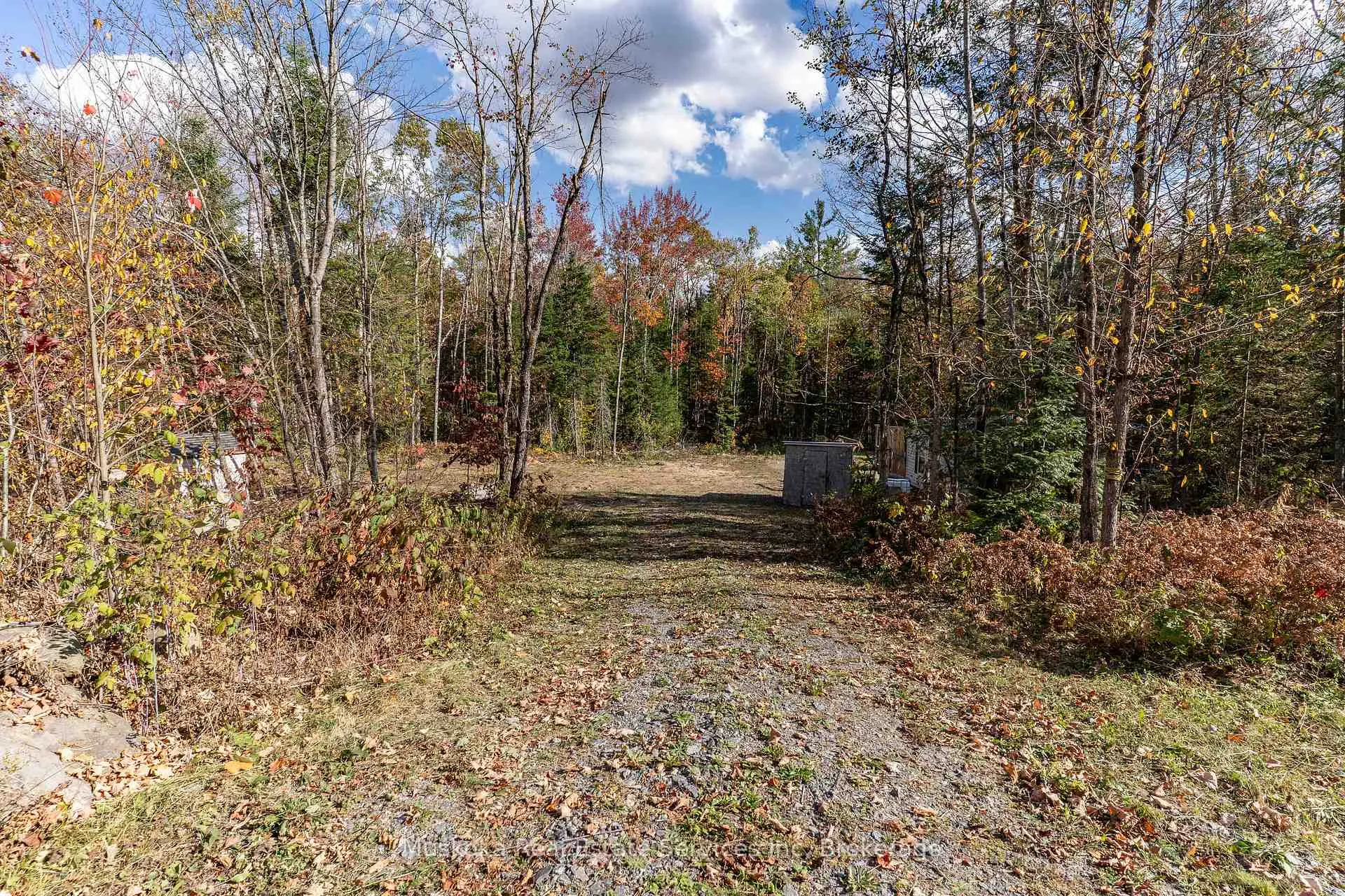 Photo 4 of 1088 Merkley Road, Gravenhurst, Ryde — HOMEH