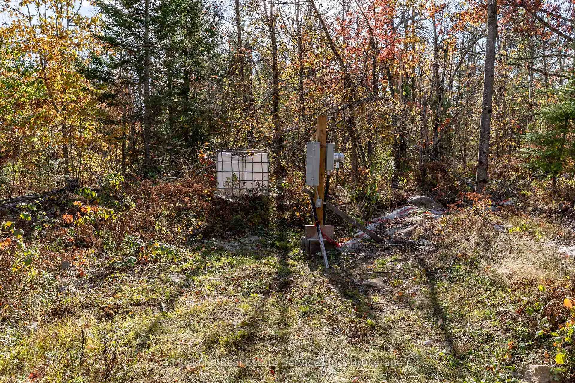 Photo 5 of 1088 Merkley Road, Gravenhurst, Ryde — HOMEH