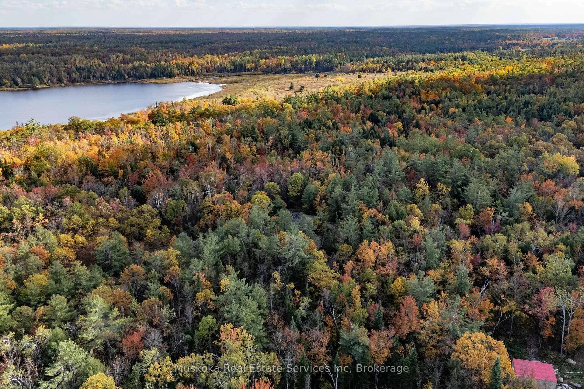 Photo 19 of 1088 Merkley Road, Gravenhurst, Ryde — HOMEH