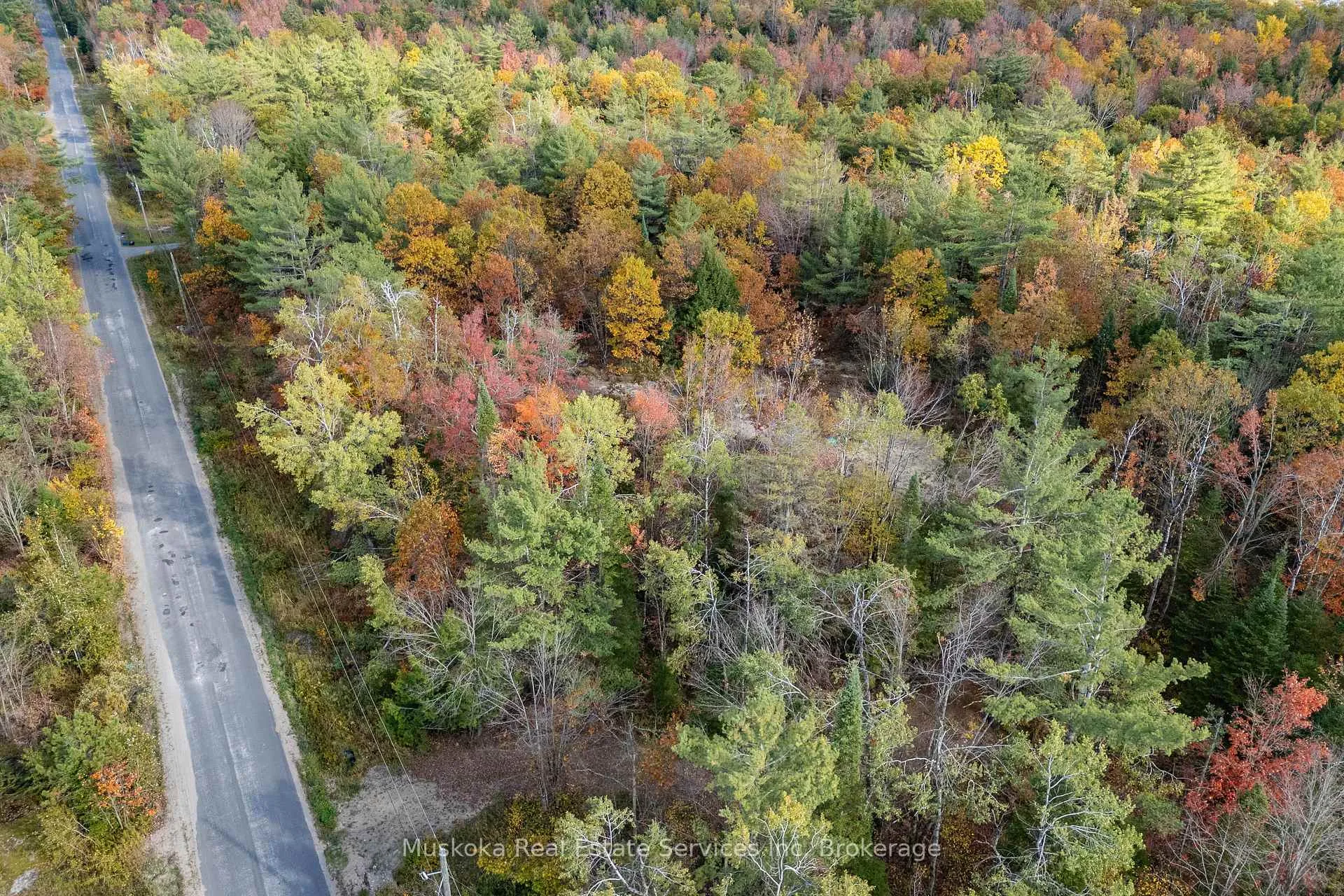Photo 24 of 1088 Merkley Road, Gravenhurst, Ryde — HOMEH