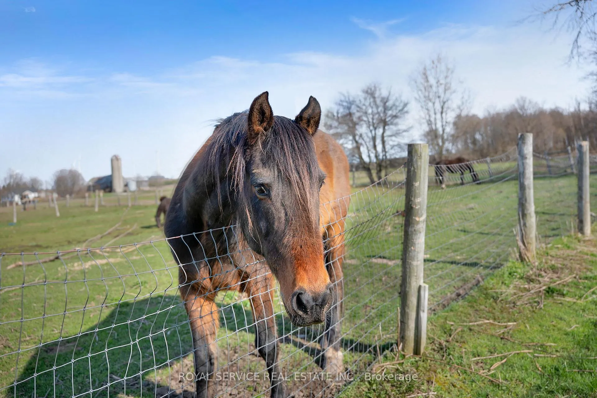 Photo 7 of 3775 Ganaraska Road, Clarington, Rural Clarington — HOMEH