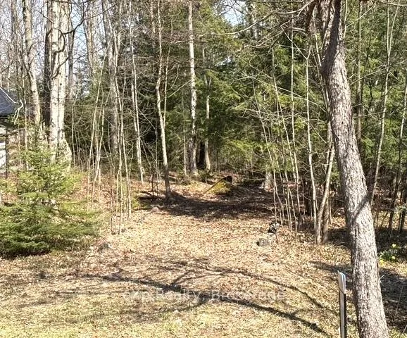 Photo of PT LT 21 Grey Road 12