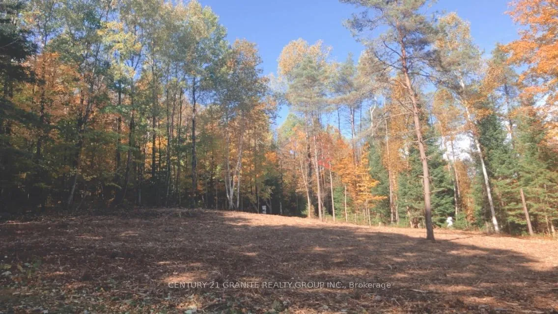 Photo 49 of 27455 62 Highway S, Bancroft, Dungannon Ward — HOMEH