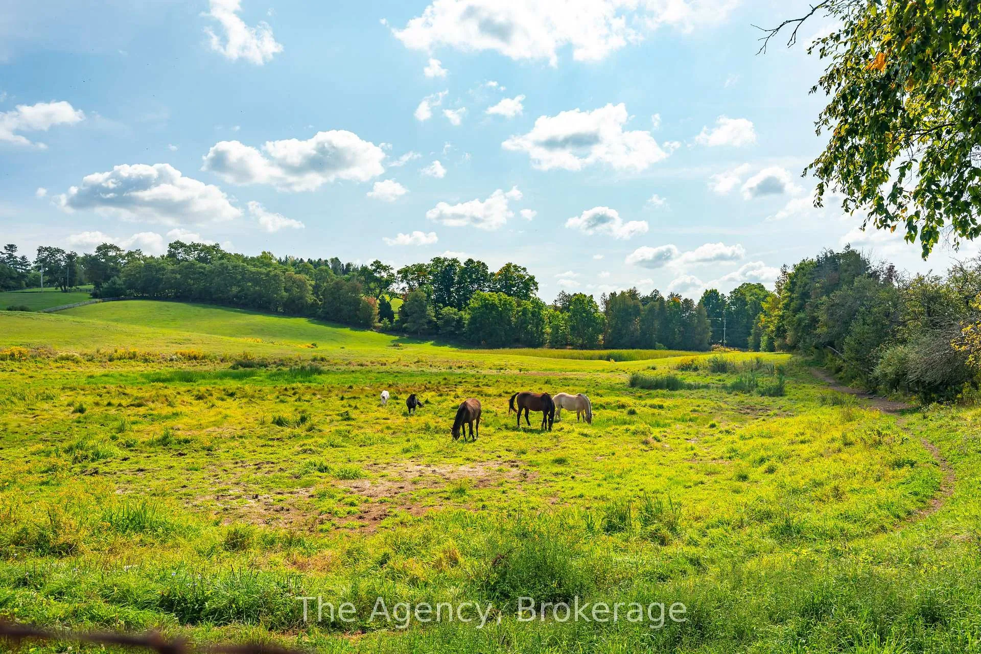 Photo 44 of 5150 17 Side Road, King, Schomberg — HOMEH
