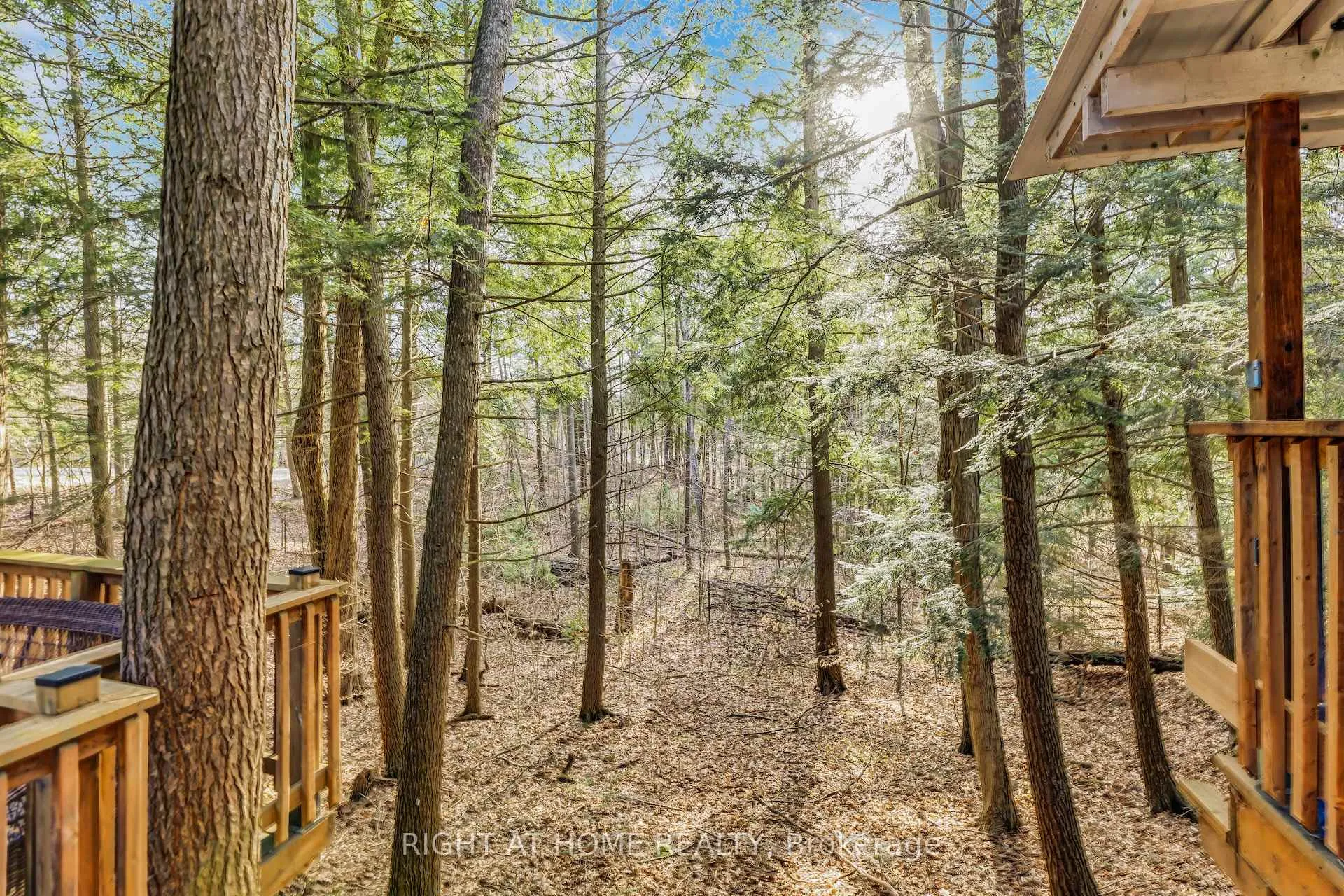 Photo 45 of 600 Henderson Drive, Aurora, Aurora Highlands — HOMEH