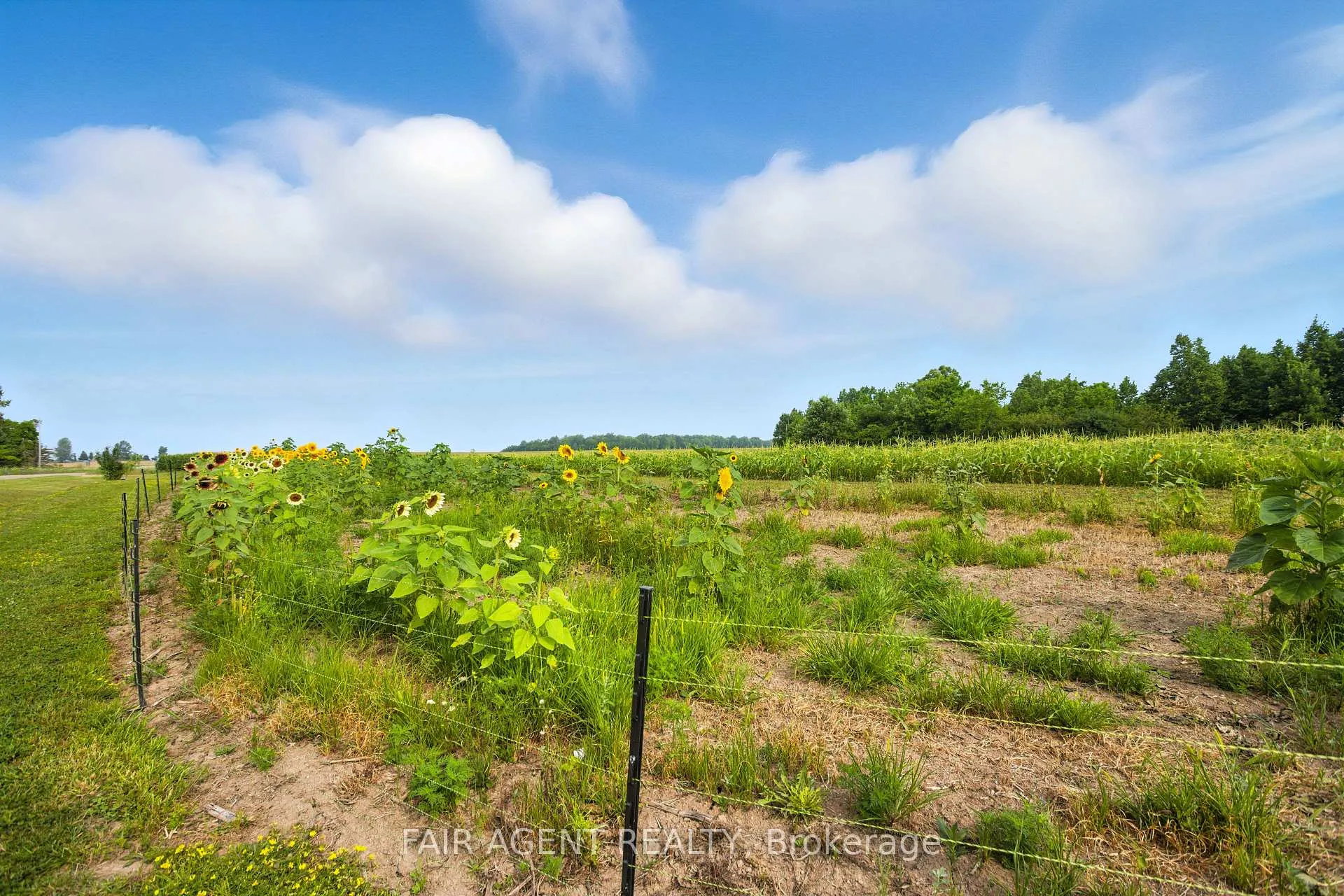 Photo 50 of 4484 Ausable Drive, North Middlesex, Rural North Middlesex — HOMEH