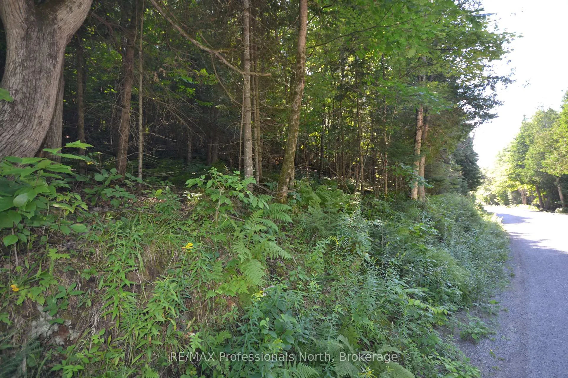 Photo 9 of Fred Jones Road, Dysart et al, Dysart — HOMEH