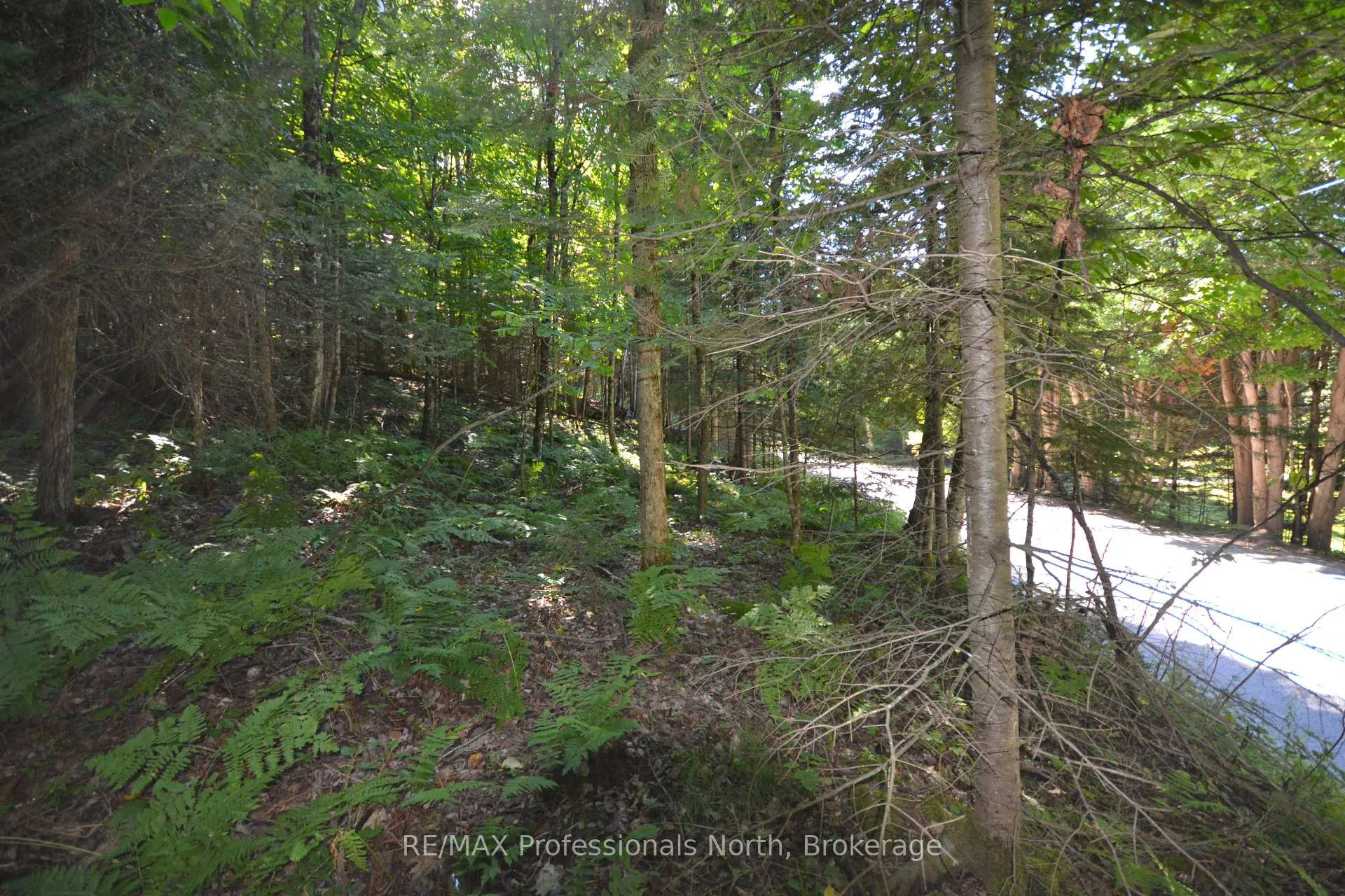 Photo 12 of Fred Jones Road, Dysart et al, Dysart — HOMEH
