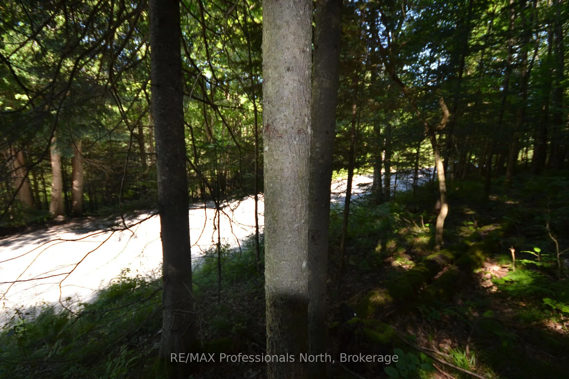 Photo 14 of Fred Jones Road, Dysart et al, Dysart — HOMEH