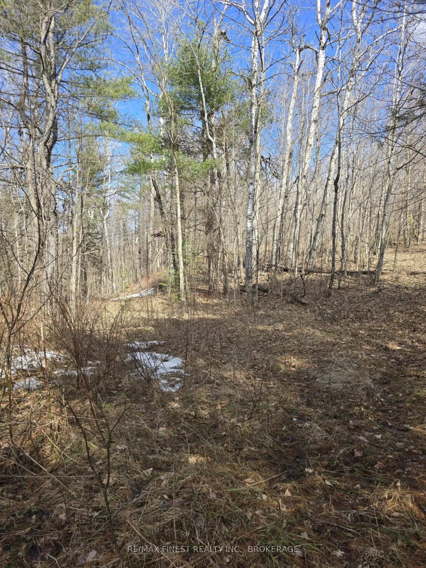 Photo 5 of Road 509, Central Frontenac, Frontenac Centre — HOMEH