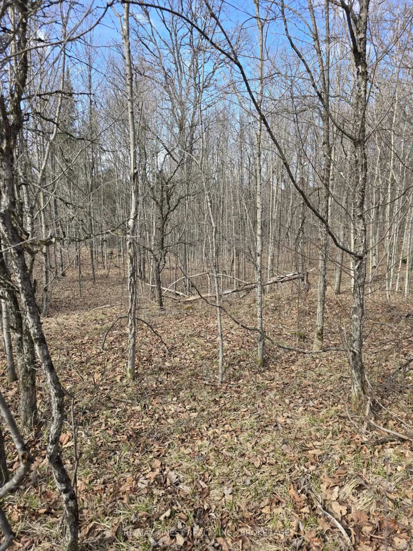 Photo 8 of Road 509, Central Frontenac, Frontenac Centre — HOMEH