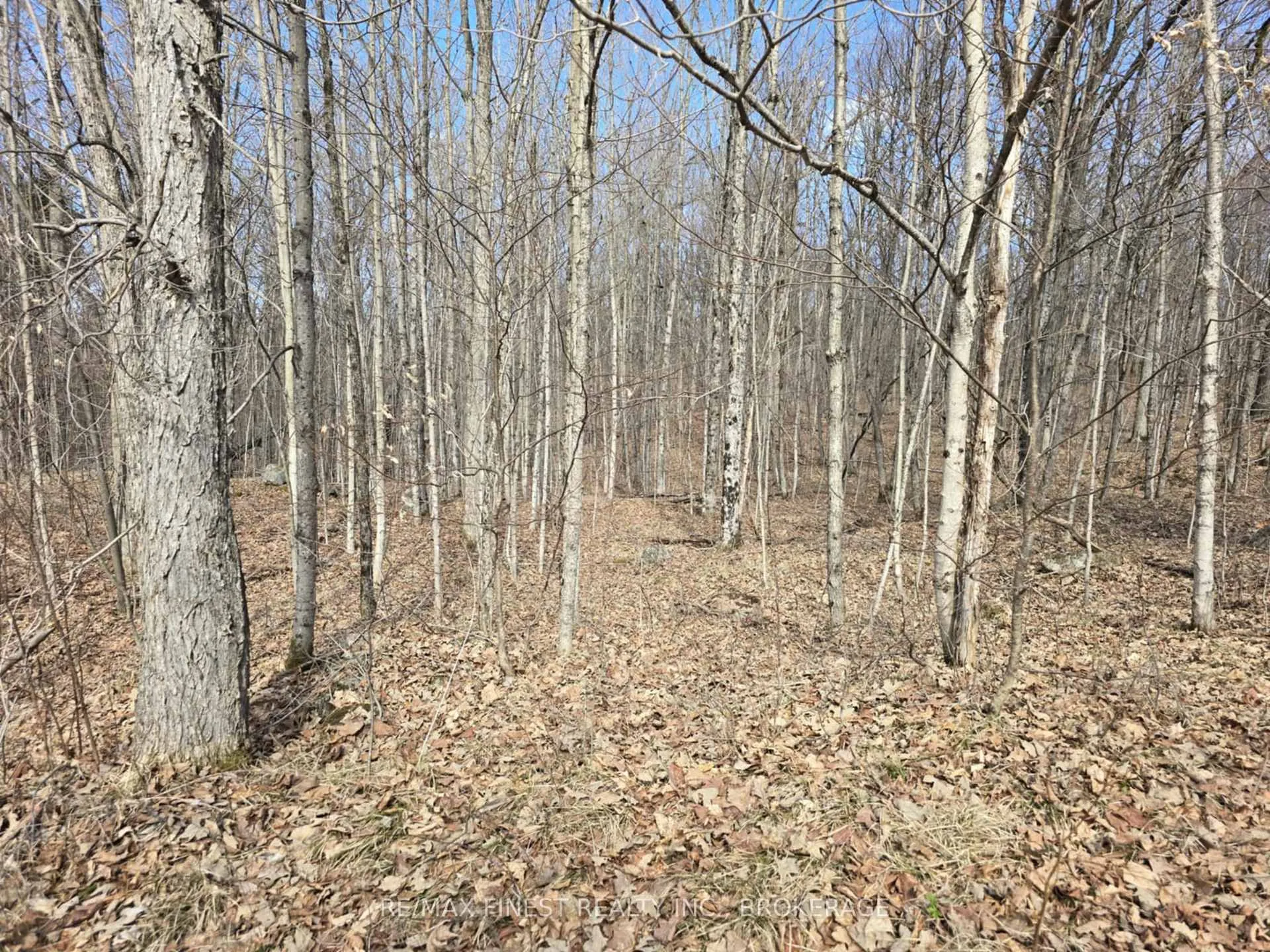 Photo 9 of Road 509, Central Frontenac, Frontenac Centre — HOMEH