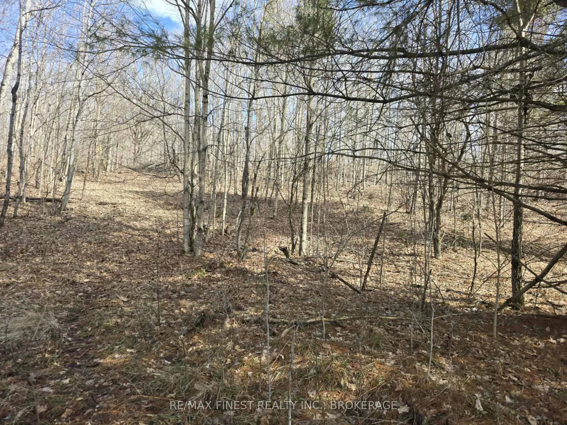Photo 10 of Road 509, Central Frontenac, Frontenac Centre — HOMEH