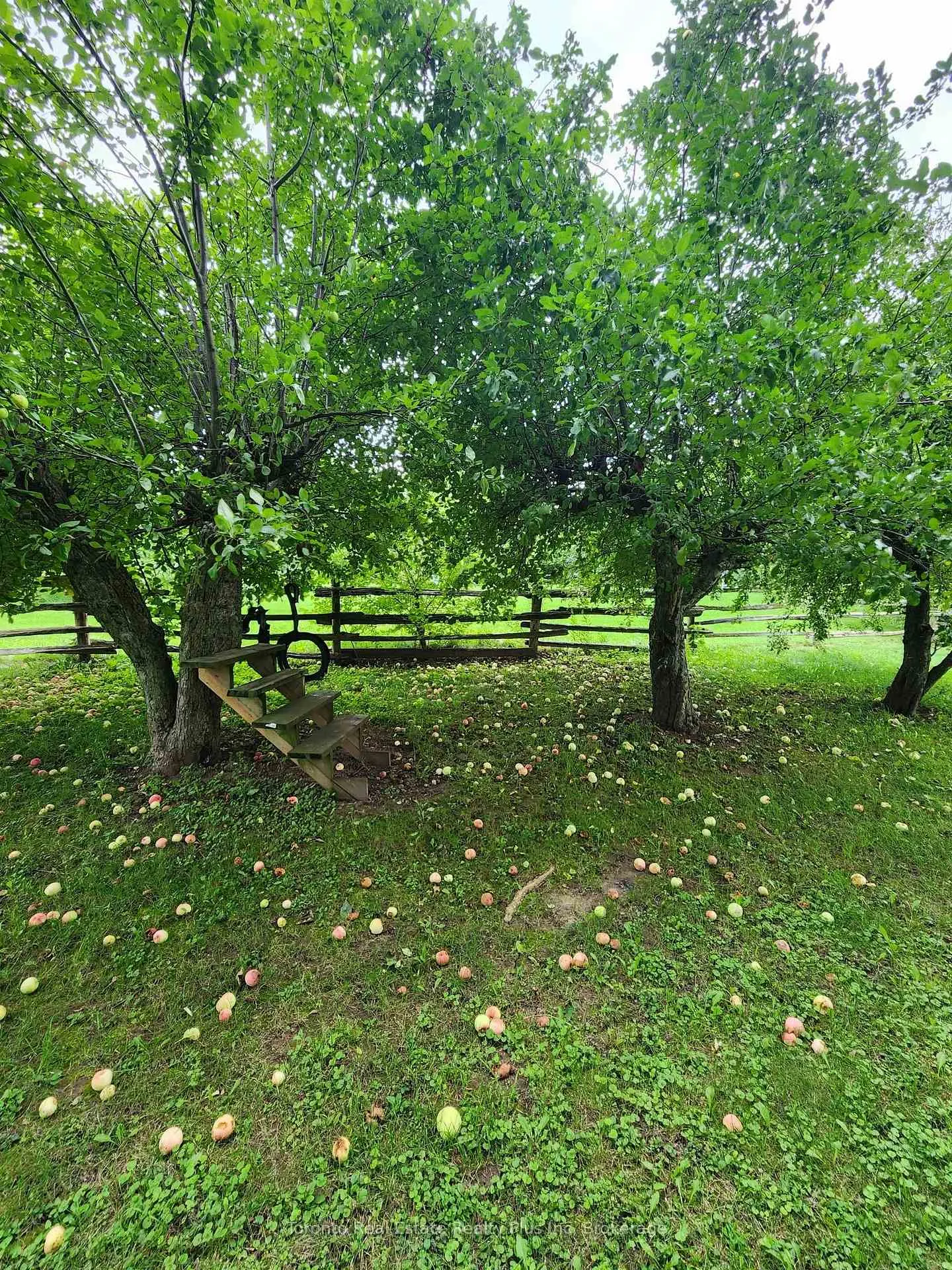 Photo 17 of 1215 Britannia Road, Burlington, Rural Burlington — HOMEH