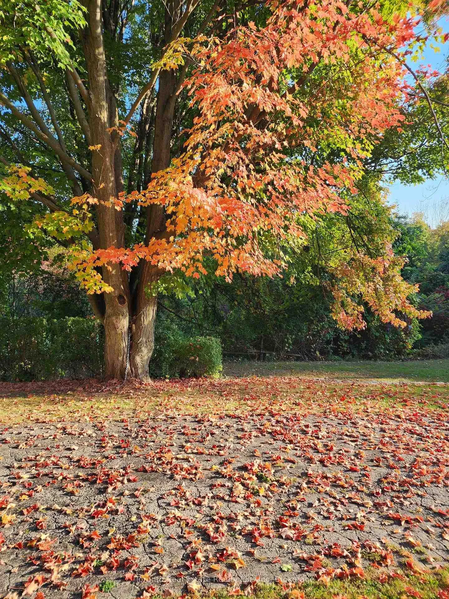 Photo 18 of 1215 Britannia Road, Burlington, Rural Burlington — HOMEH