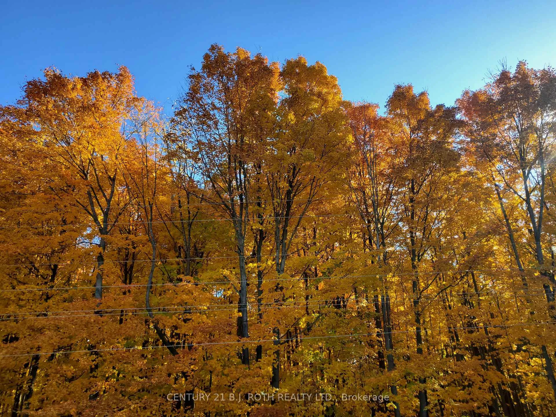 Photo 23 of 29 Corner Brook Trail, Innisfil, Rural Innisfil — HOMEH