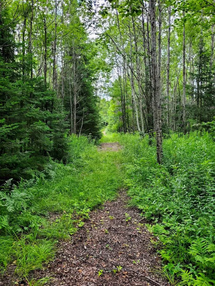 Photo 44 of 398 Highway 522, Powassan — HOMEH
