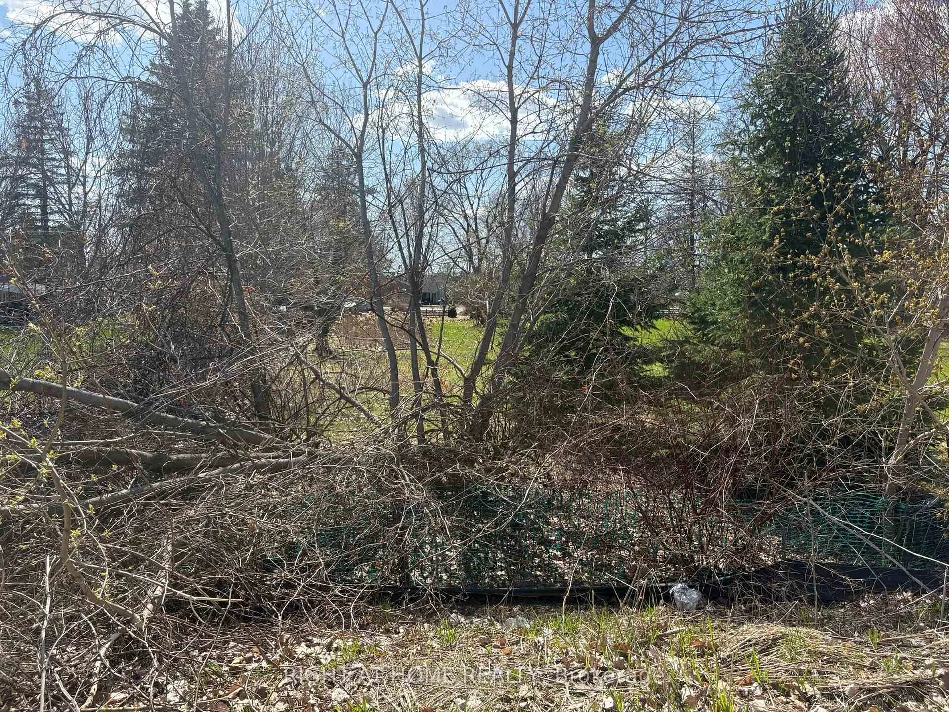 Photo 36 of 793 River Road, Ottawa, Riverside South/Gloucester Glen — HOMEH