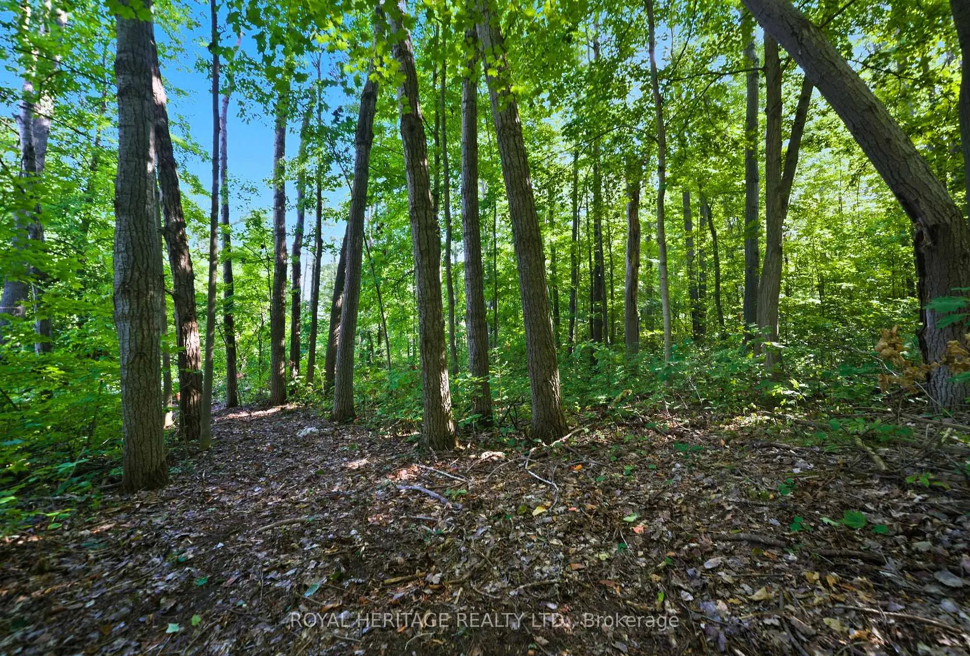 Photo 5 of Pinewood School Road, Cramahe, Rural Cramahe — HOMEH