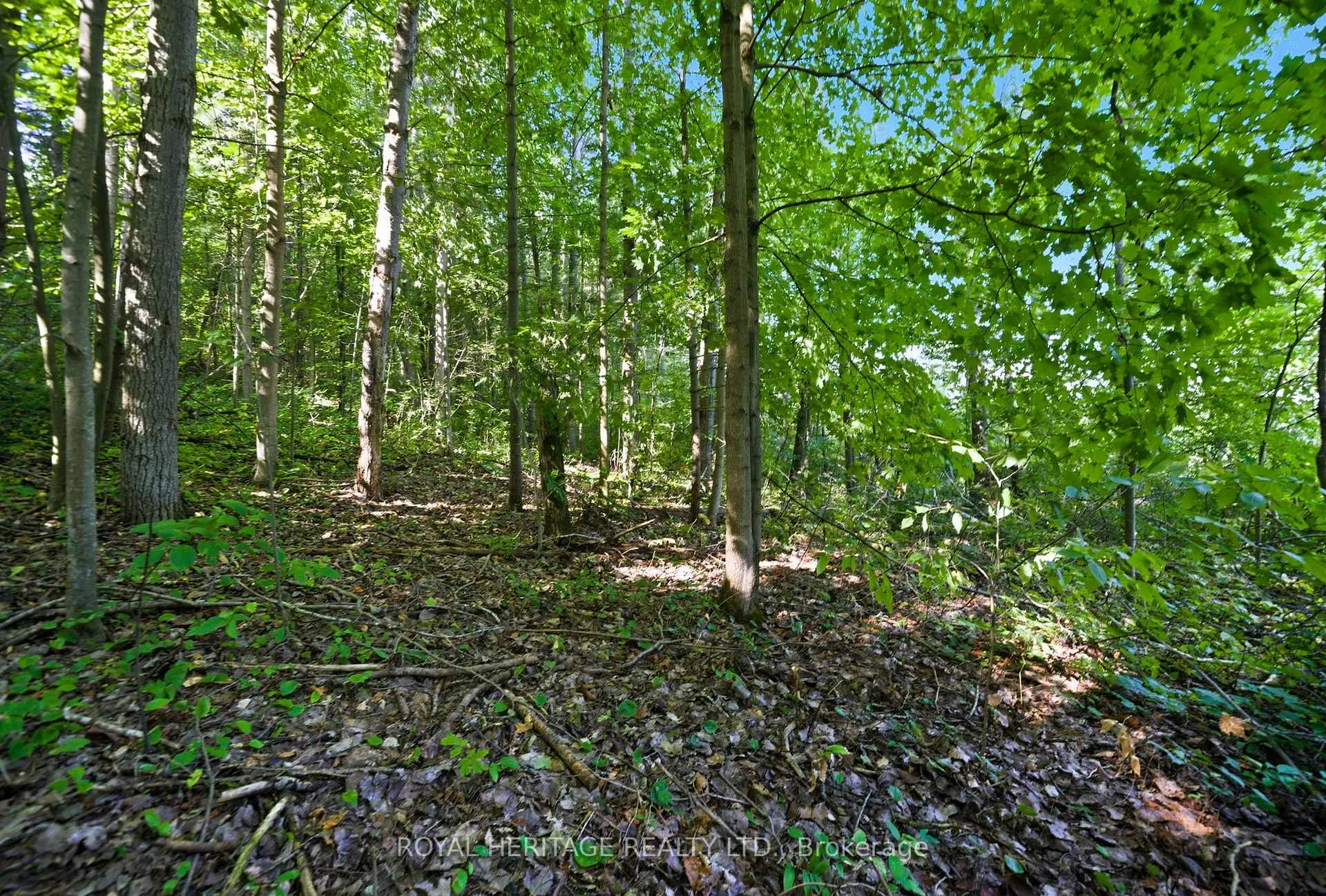 Photo 6 of Pinewood School Road, Cramahe, Rural Cramahe — HOMEH